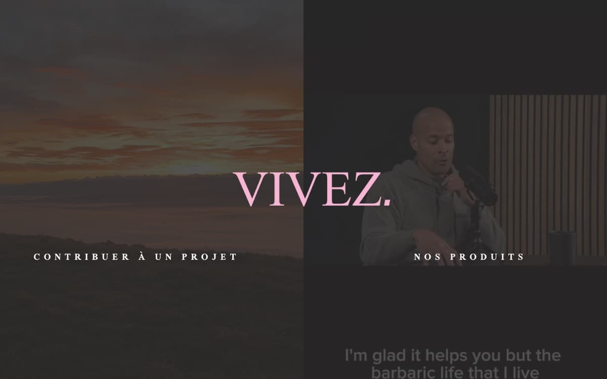 Aperçu du site VIVEZ.